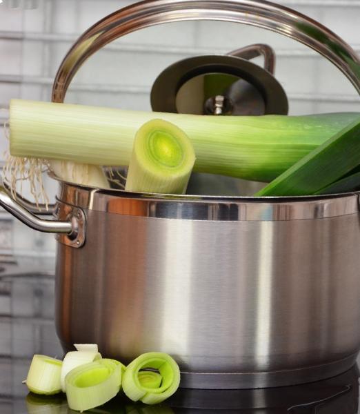 Perfect Clean - Schimmelentferner biozidfrei 1000 ml Entfettungsmittel Tapeten- Eiweißlöser rein